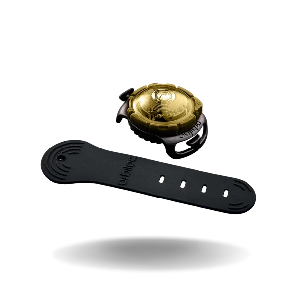 Orbiloc hundelygte Gold